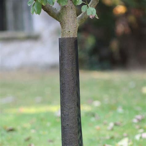 tree trunk protection from squirrels